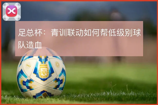 足总杯：青训联动如何帮低级别球队造血
