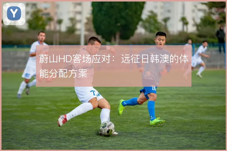 蔚山HD客场应对：远征日韩澳的体能分配方案