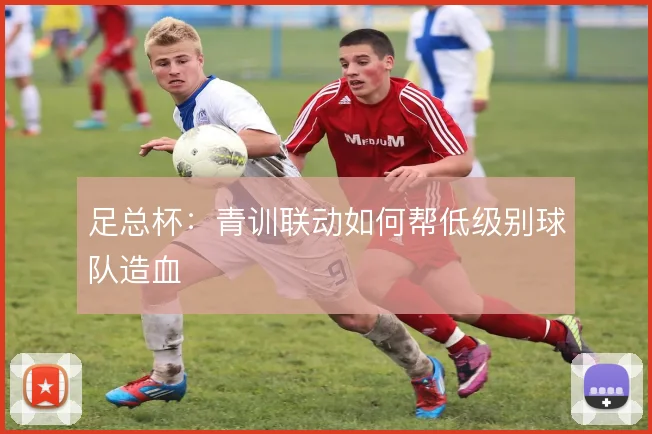 足总杯：青训联动如何帮低级别球队造血