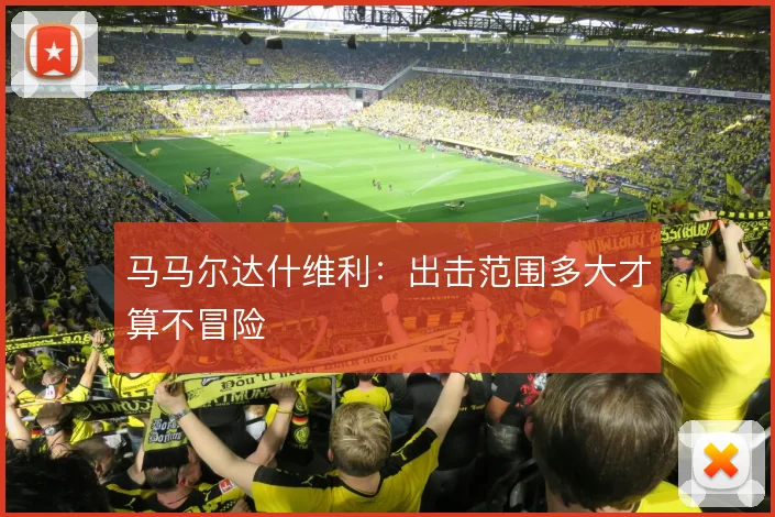马马尔达什维利：出击范围多大才算不冒险